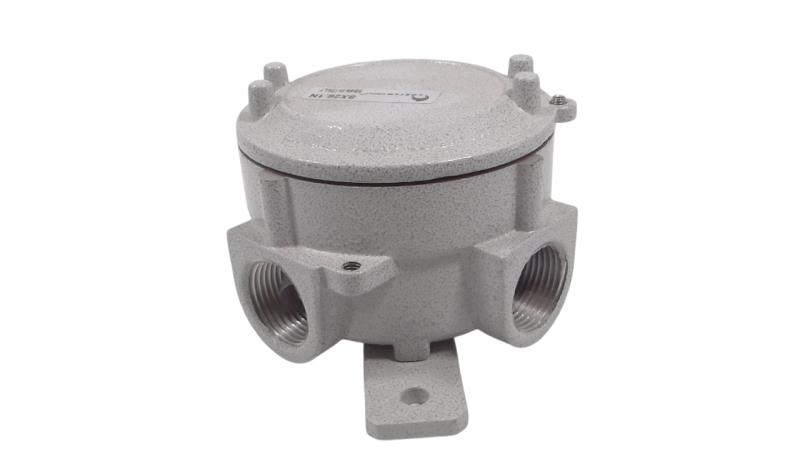 CORTEM GROUP SX26.1N