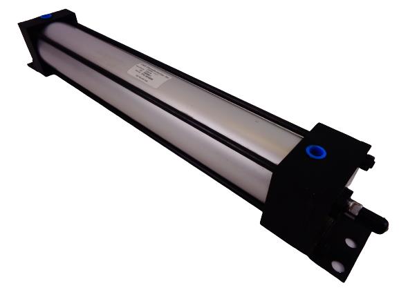 CYL-9416920 by BIMBA