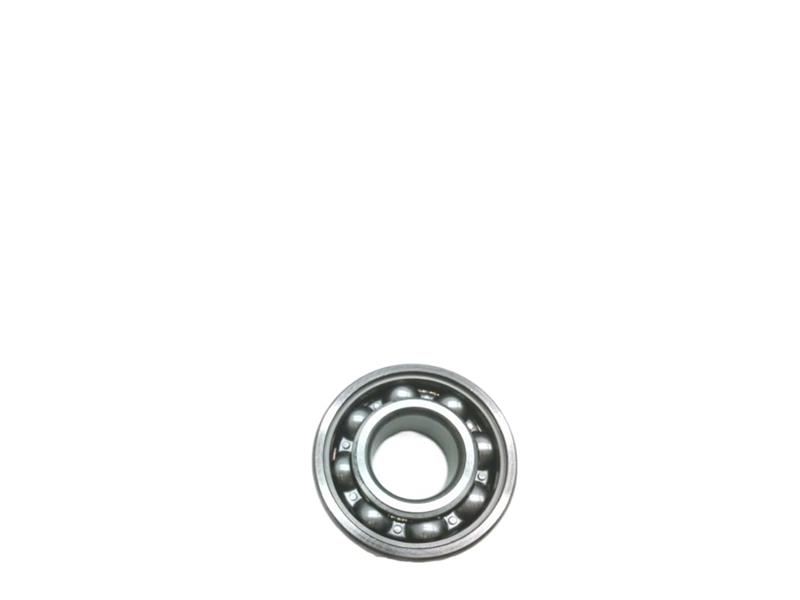 SKF 6204RSJEM