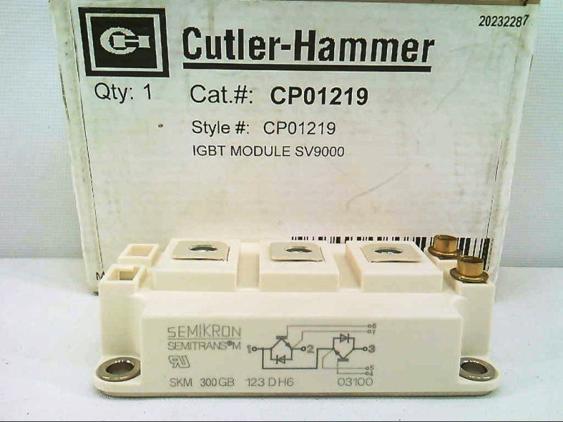 EATON CORPORATION CP01219