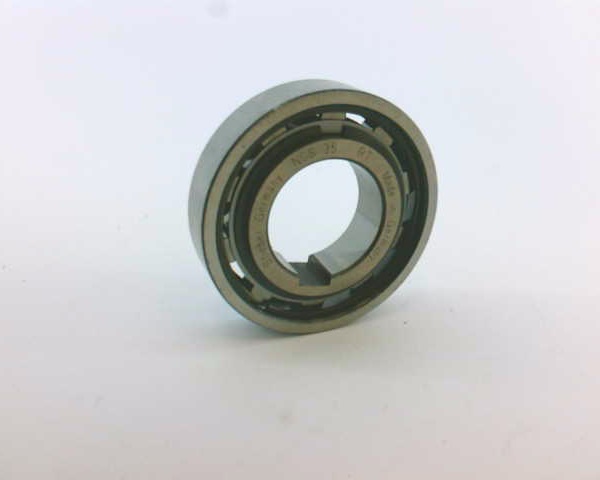 REGAL REXNORD NSS-35