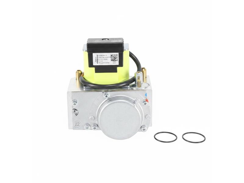AO SMITH WATER HEATERS 100351235