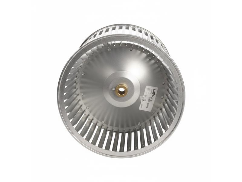 LAU FANS 00827672