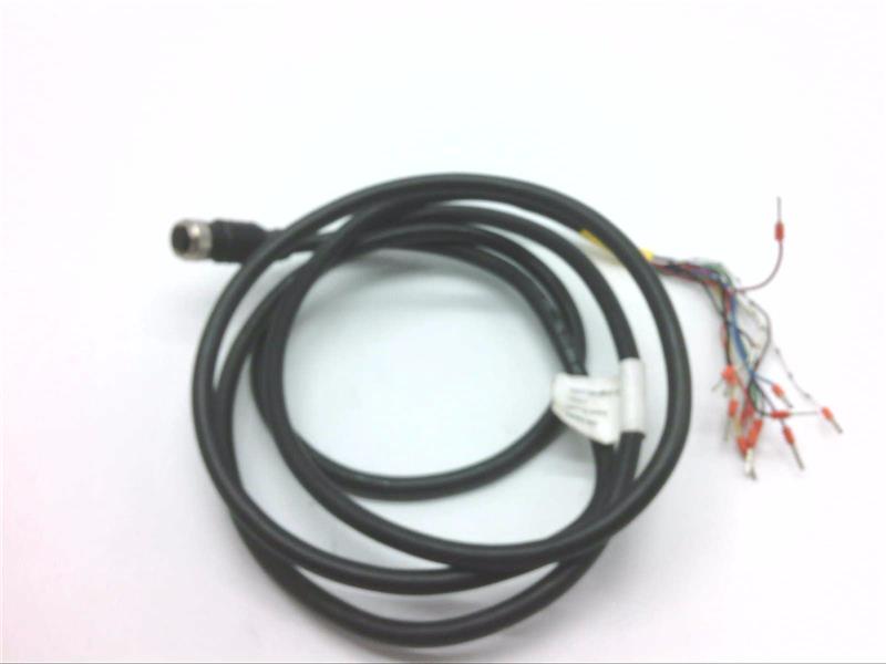 COGNEX CKR-200-CBL-004