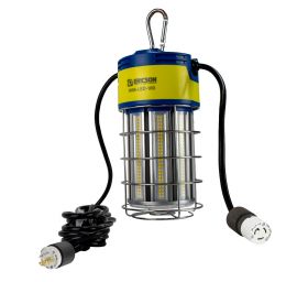 ERICSON MFG 1006-LED-100-277