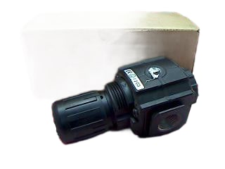 NORGREN R73G-2GK-RFN