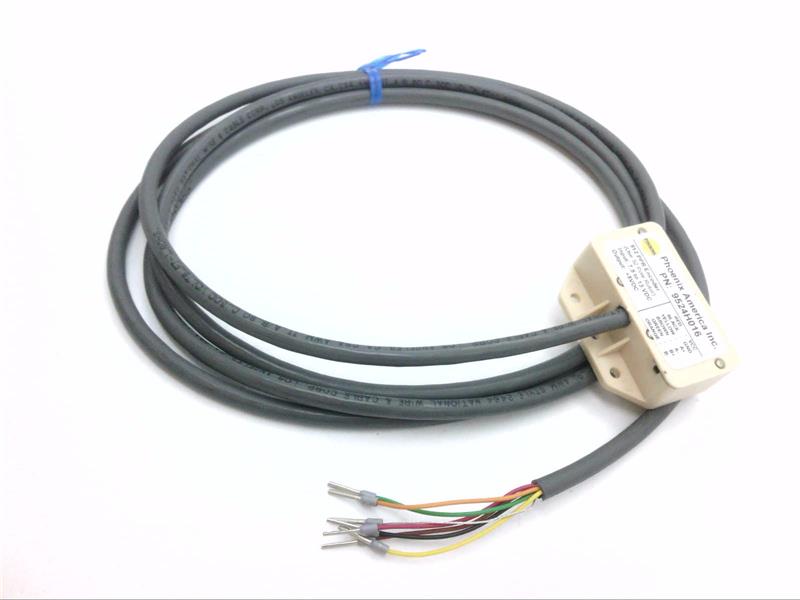 PHOENIX AMERICA INC 9524H016