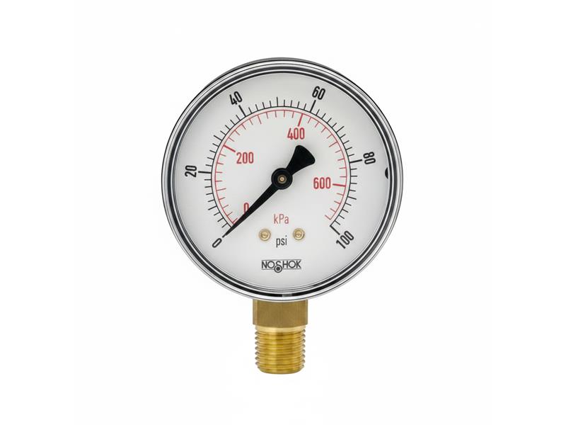 25-100-200-PSI/KG/CM2-BP3 by NOSHOK