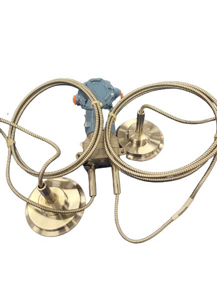 3051CD2A22A1AS2B4E5Q4Q8 by EMERSON