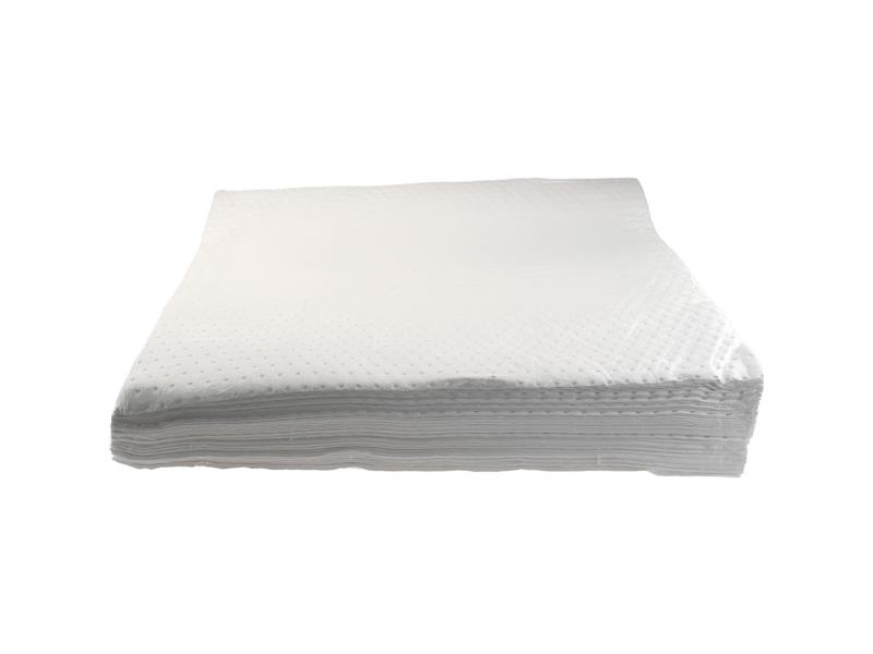 PRO SAFE INC SORPAD-AS50