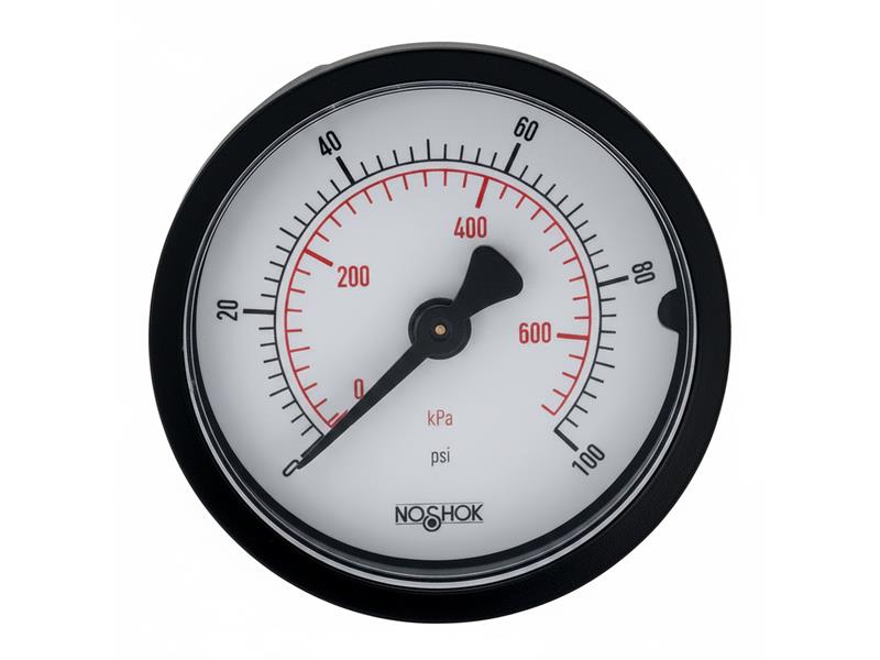 20-110-100-PSI/BAR-PMC-BP3 by NOSHOK