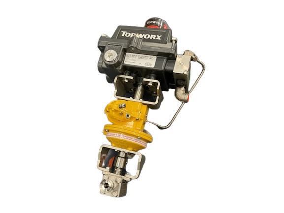 TOPWORX DXP-L2WGS4B1621