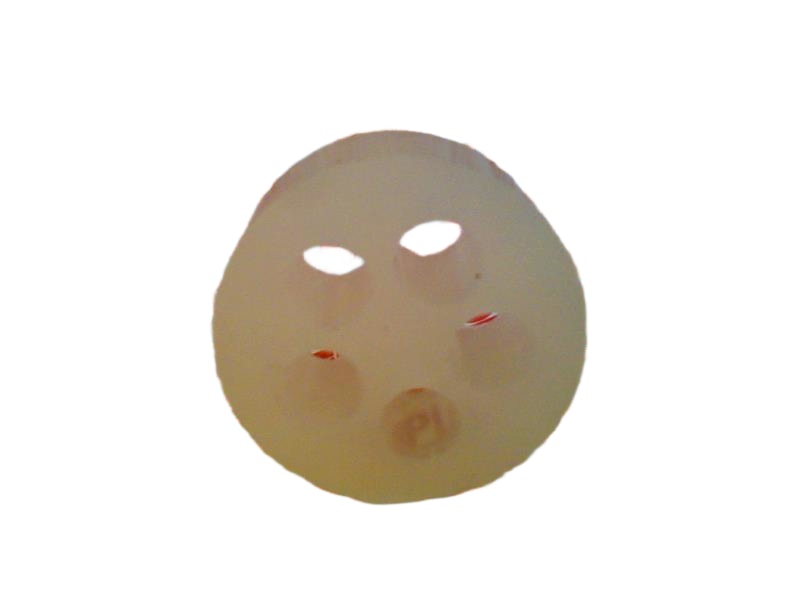 5362-9570 by LAPP USA