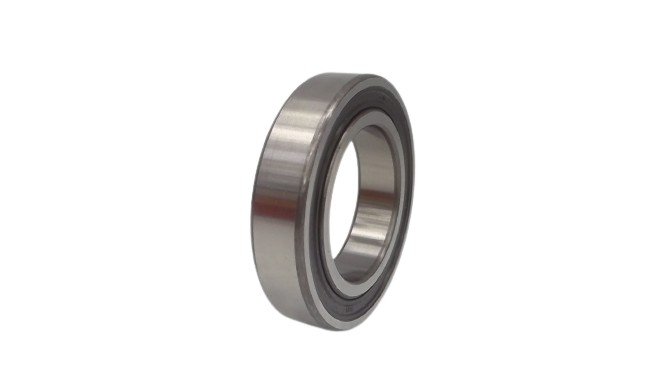 SKF 6009-2RS1