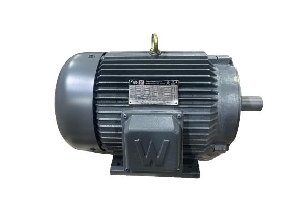 WORLDWIDE ELECTRIC PEWWE10-36-215TC