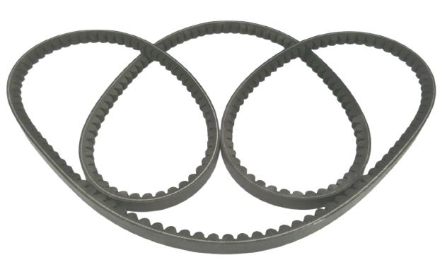 REGAL REXNORD 5VX950