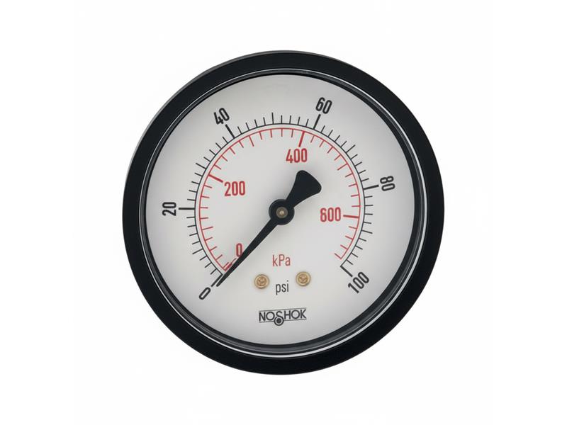 NOSHOK 25-110-30-PSI/KPA-BLFF-BP3