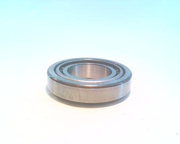 SCHAEFFLER GROUP 30209A.P5