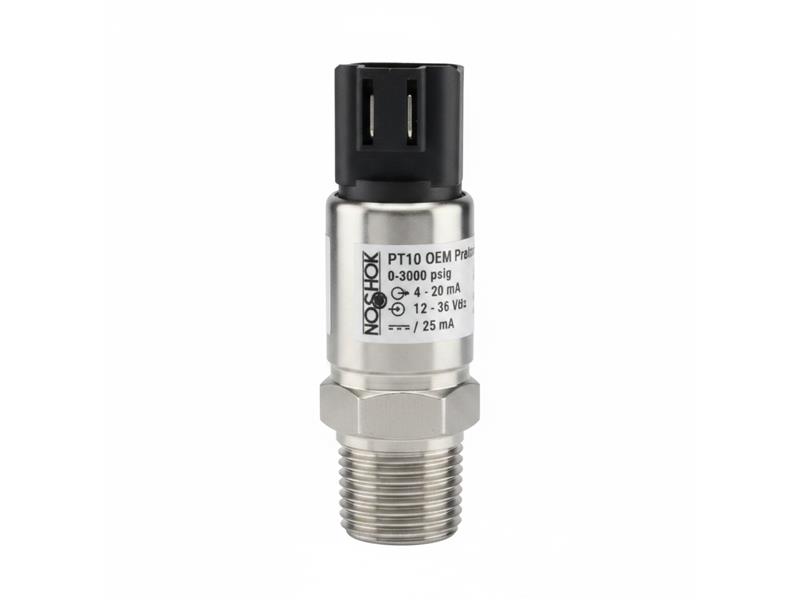 NOSHOK 10-02S-V-V-04S-1F-P