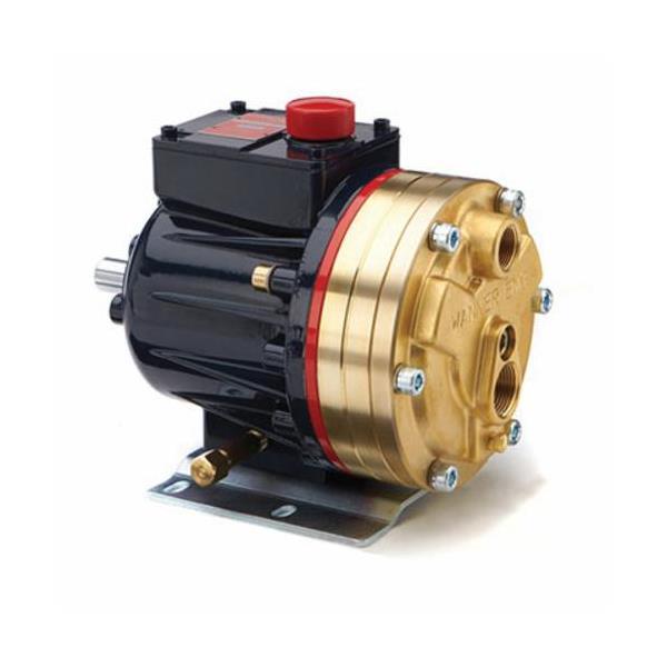 D10EPCGHFECA by WANNER ENGINEERING