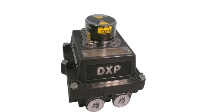 TOPWORX DXP-M21BS4B