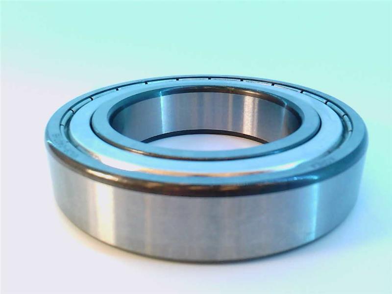 SCHAEFFLER GROUP 6009-2Z-L038