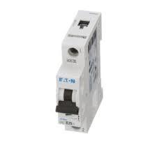 EATON CORPORATION WMS1B20