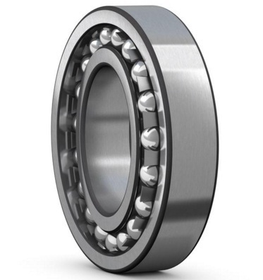 SKF 1306-EKTN9