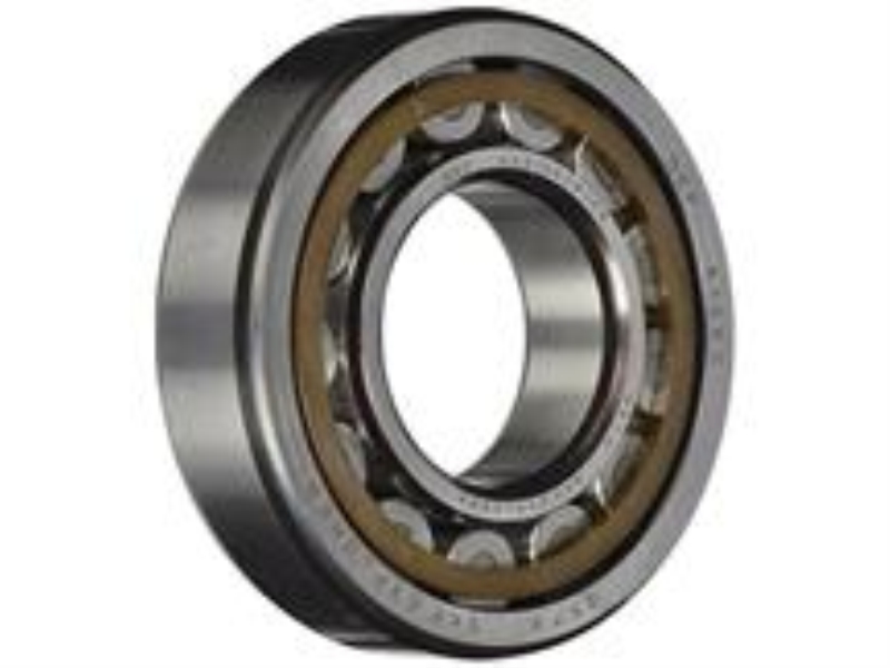 SKF NU-250-ECP/C3