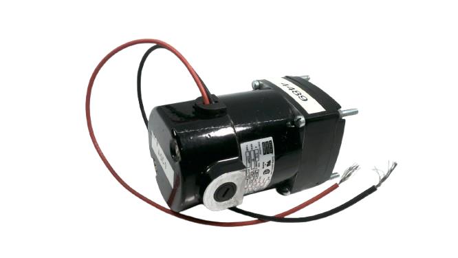 BODINE ELECTRIC 24Y0BEPM-A2