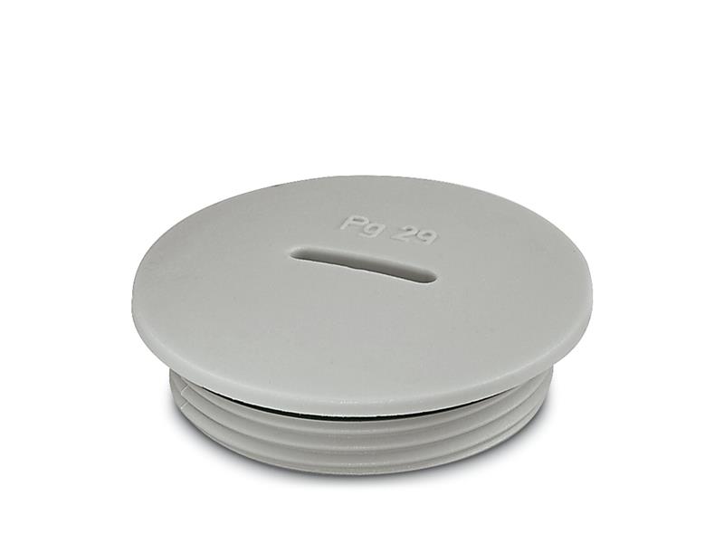 PHOENIX CONTACT A-INSP-PG29-65N-P-LG