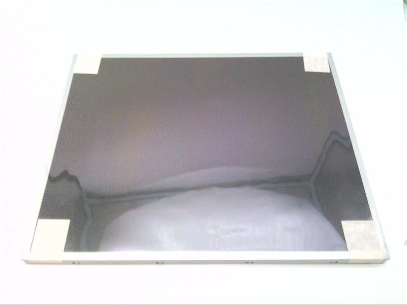 AU OPTRONICS G190EG02 V1