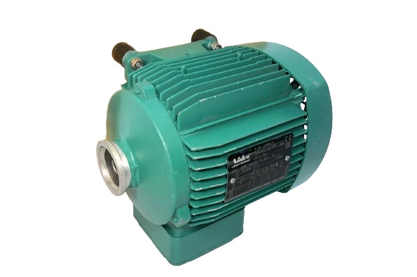 4P LS71MP/T0.25KW-IM1001 (IM B3)-117VAC-60HZ-IP55 by NIDEC CORP