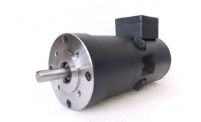 SEM SERVO MOTORS MT30Z4-61