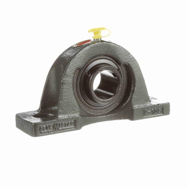 REGAL REXNORD NP-19 VL