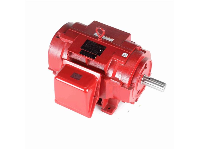 REGAL REXNORD 256TTDBD4020