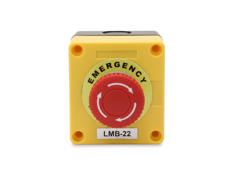 AUSPICIOUS ST-4-LMB-22