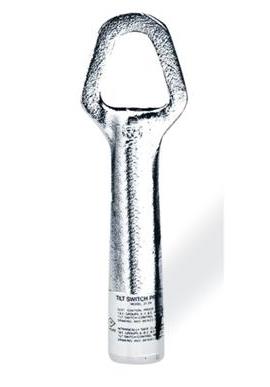 RAMSEY TECHNOLOGY INC 508506