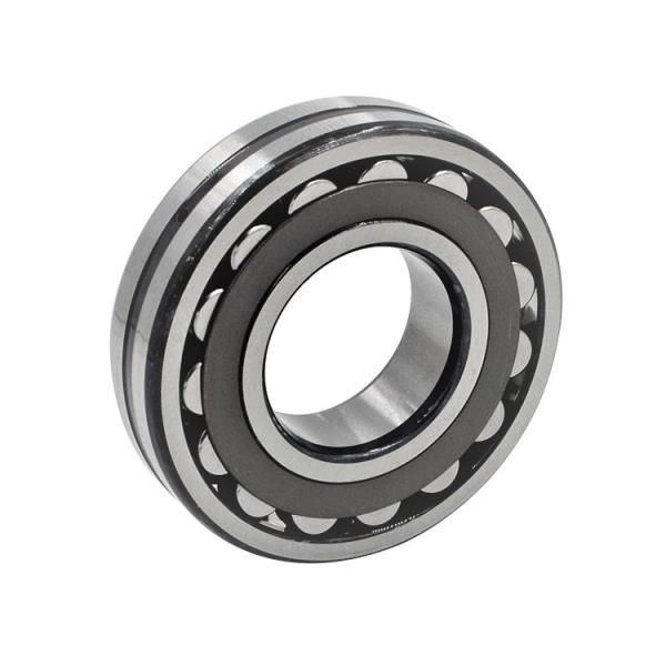 SCHAEFFLER GROUP 21310-E1