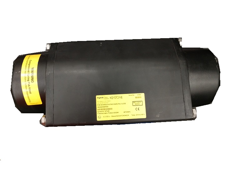 79E03603080PM00 by EMERSON