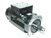 YASKAWA ELECTRIC SGMBH-2BDCA61