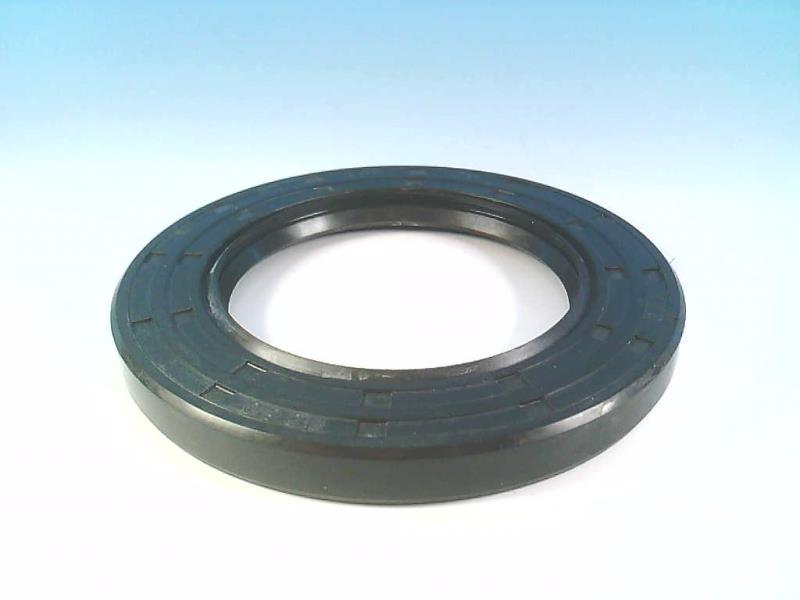 FREUDENBERG 65X100X10TC