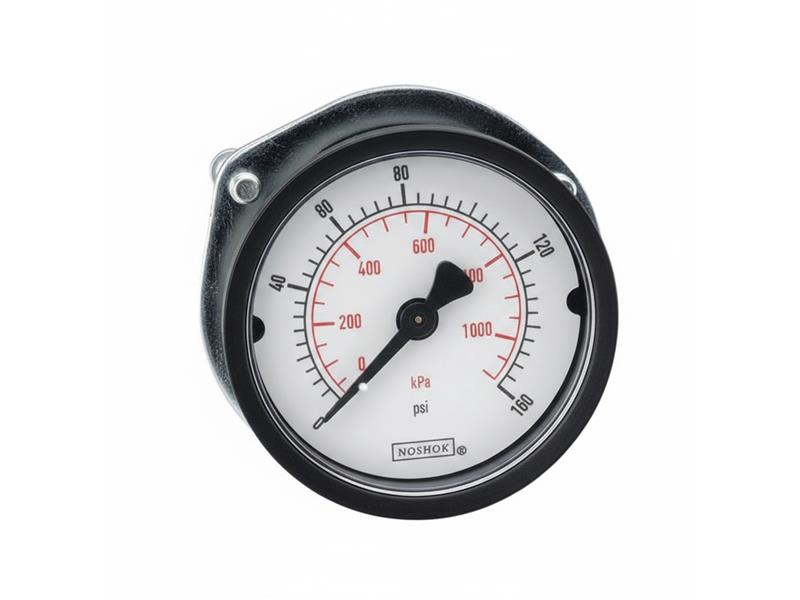 NOSHOK 15-110-100-PSI/BAR-PMC-BP3