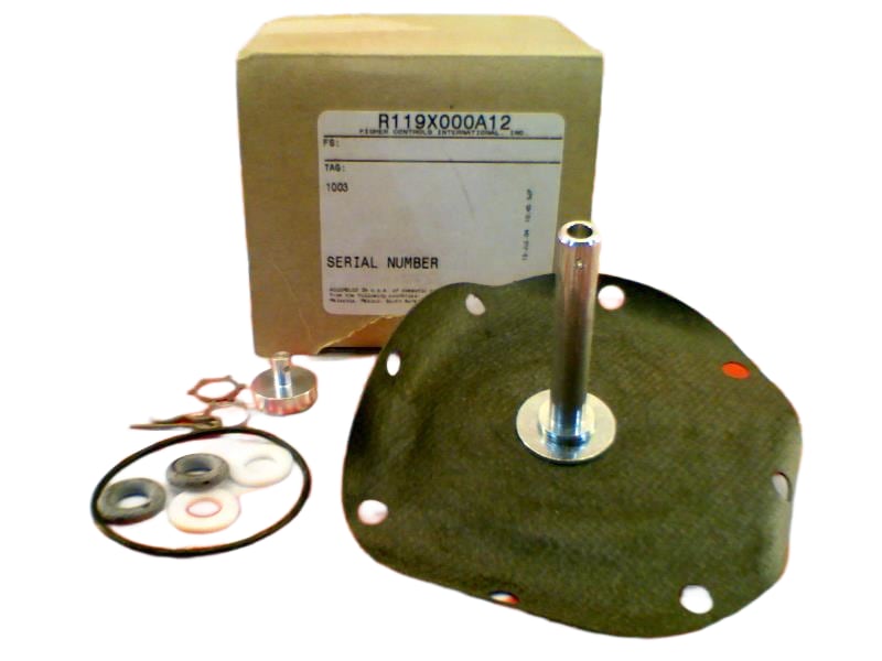 EMERSON R119X000A12