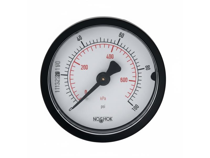 NOSHOK 20-110-300-PSI/KPA-SSB-PMC