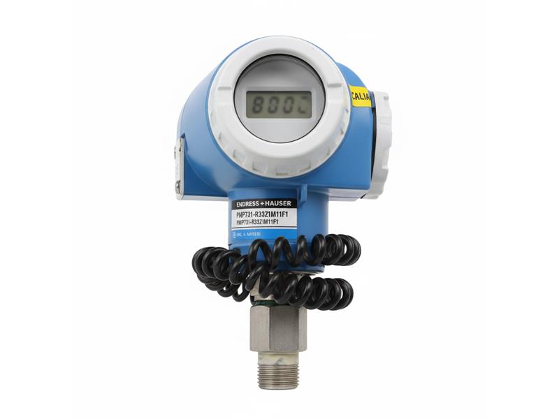 ENDRESS & HAUSER PMP731-R33Z1M11F1