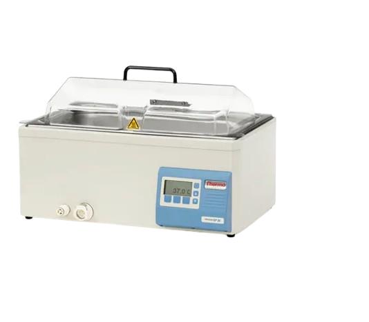 TSGP20 by THERMO FISHER SCIENTIFIC