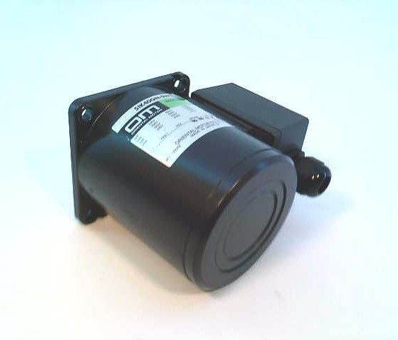 ORIENTAL MOTOR 5IK40GN-SWT