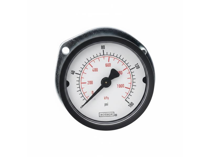 NOSHOK 15-110-300-PSI/KPA-PMC-BP3