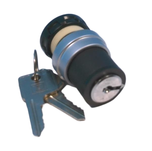 SCHNEIDER ELECTRIC 9001-D4L80